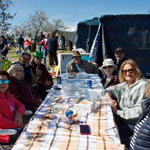 Almendro en flor 2026 (22)